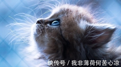 |幽默笑话:网恋女友一年,见面后才发现是老板,她直勾勾的盯着我