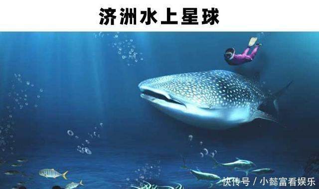 世界|世界上存在着的11个巨大而神奇的水族馆