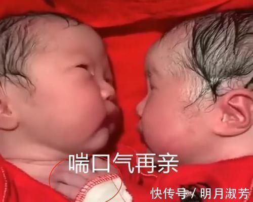 护士|龙凤胎出生才20分钟，妹妹就“夺走”哥哥的初吻，护士好有爱