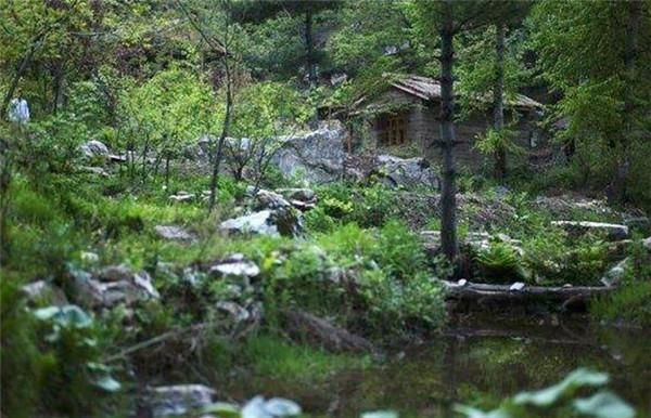 打坐|终南山第一女隐士，85岁高龄连续打坐108天，称能与佛祖“交流”