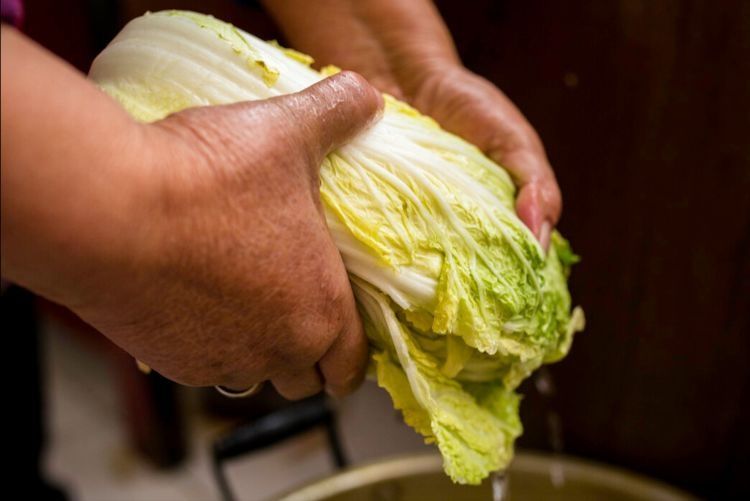 腌东北酸菜，不要直接抹盐，谨记3个诀窍，酸爽脆嫩，不会发霉