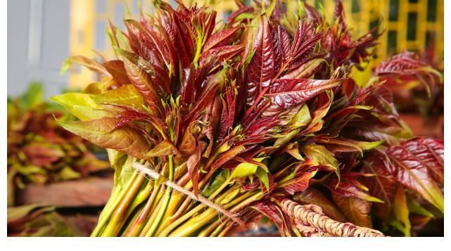 脂质|研究血脂50年，96岁院士提醒：不光是盐，3种蔬菜也要少吃