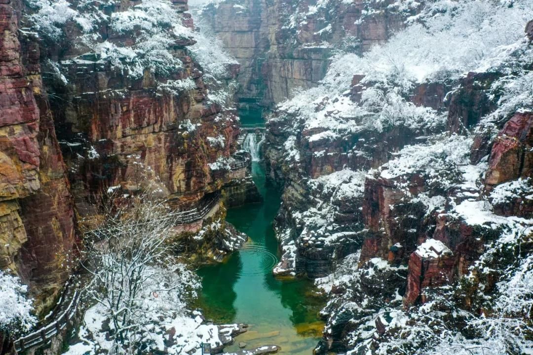 中年|焦作：桃花飞雪醉游人~