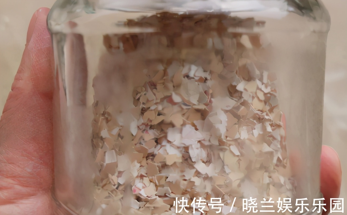 肥料|蛋壳的营养、制肥方法、养花的好处,大家知道多少?