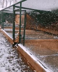 |搞笑GIF趣图有这样的闺蜜真好,姑娘好好珍惜吧。