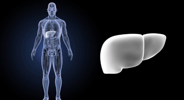 气体|放屁多竟是肝硬化的前兆警惕肝硬化4大危害,可从6个方面做起