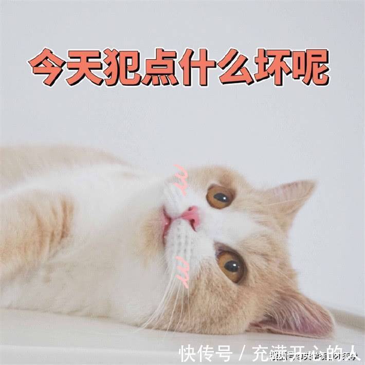 |搞笑段子:我前女友突然发来信息,问道:你现在还好吗