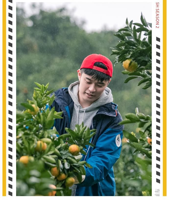 注水的第二季《五哈》，失去了靈魂，它什么也不是！