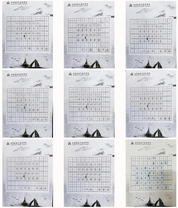 硬笔#一撇一捺书天地 一笔一划写春秋西斯达城市森林小学第五届硬笔书法大赛