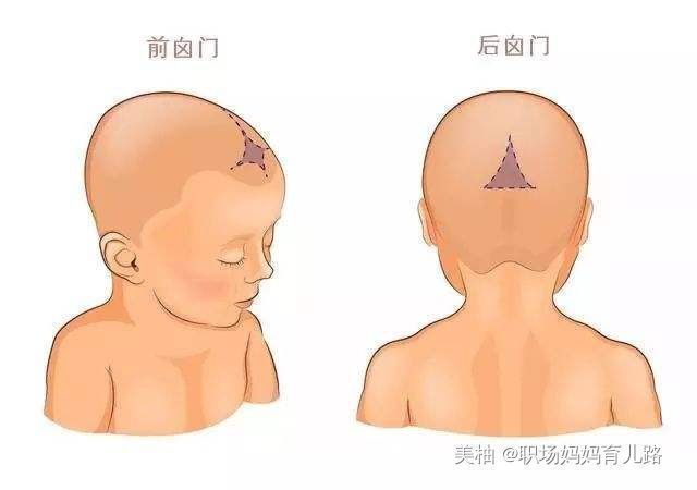 专家|囟门闭合越迟越聪明头围大智商高专家的回答和想象中不太一样