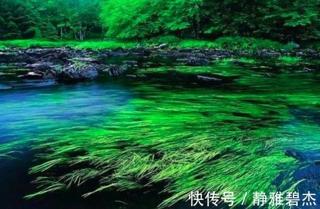 终生|陆游诗中两句千古名句，仅14字，受用终生！