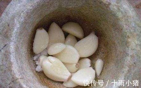 长势|用大蒜养花，长得快不烂根、20年不长虫叶子绿油油！花开长势旺盛