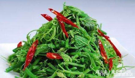 想气色好,春天多吃的食物,皮肤细腻,充满弹性,更显年轻