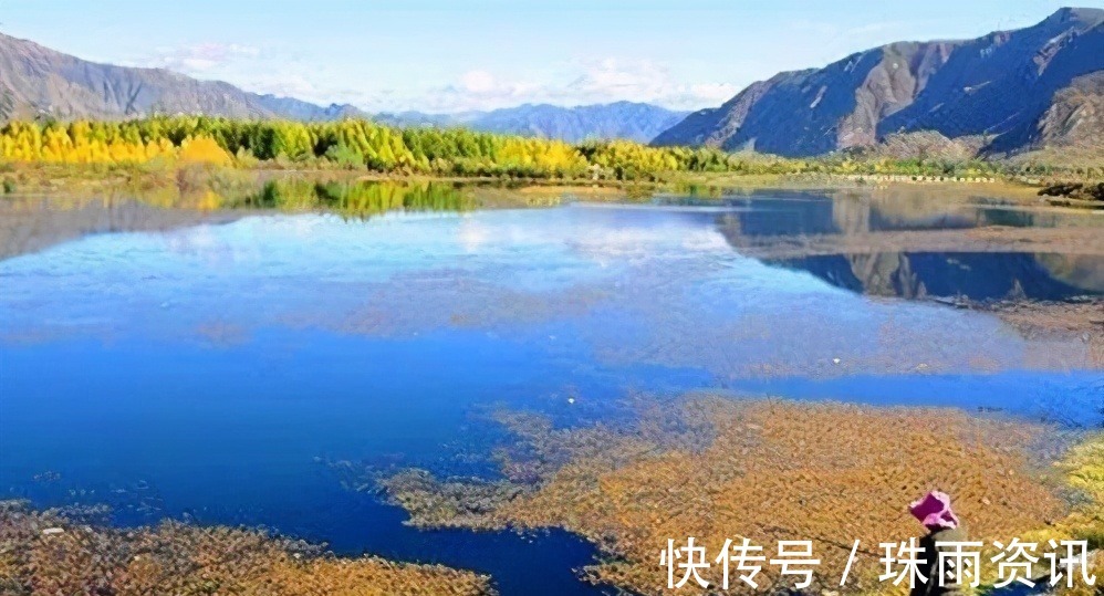 钓鱼高手狂拉大板鲫有绝活,这10个字一年四季都受用——盛世三渔