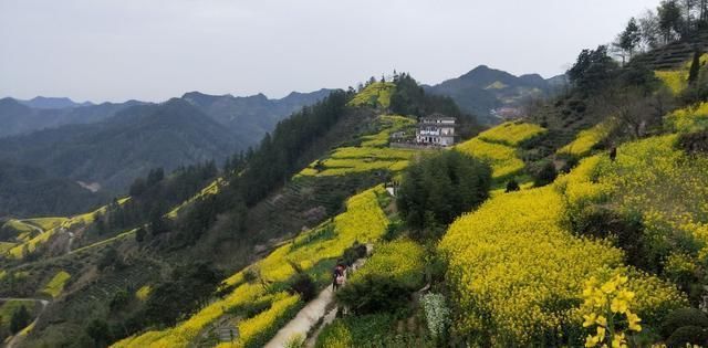 中国必去免费古村云海缥缈,像现实版世外桃源80元住还管三餐