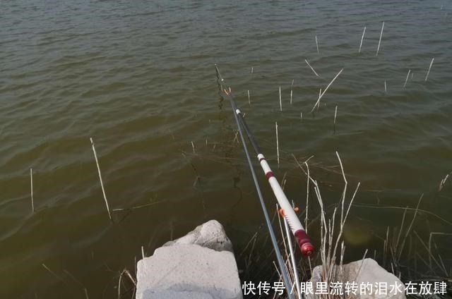 钓鱼只是玩玩,错!河沟里的鲫鱼、鲤鱼也能钓干净!