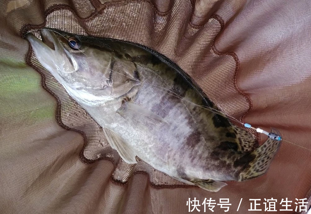 感悟|本以为钓鱼是虚度光阴,却让我感悟了不少人生