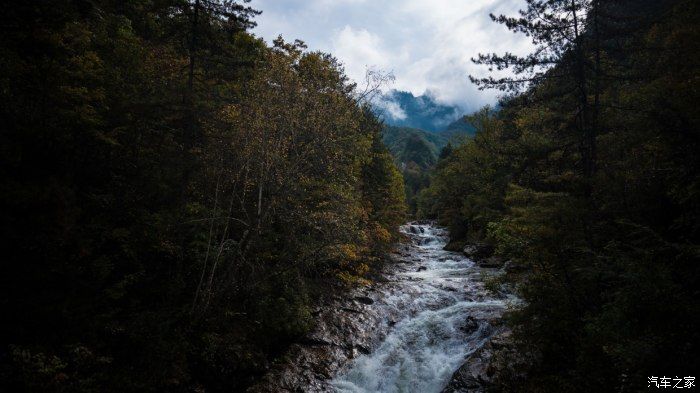 自然保护区|开着大唐去旅行——穿越太洋公路，赏黄柏塬醉美秋色（中篇）