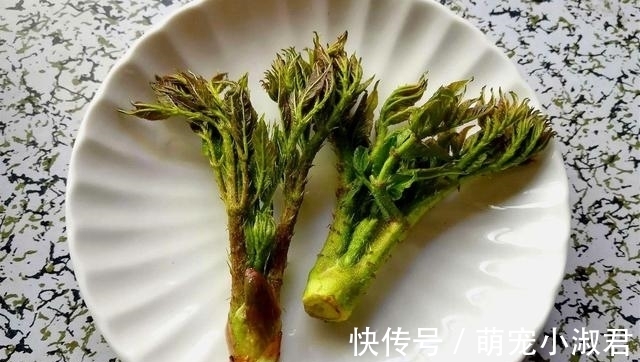 野菜|日本人眼中的高端菜,中国很多却少有人碰,营养很丰富