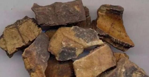 肿瘤|这副经典中药方为何治疗结节、肿瘤疗效好，因为由4种虫类药组成