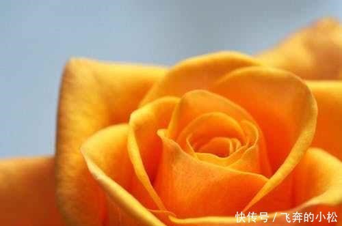 小说|《经典情节20种》之二探险,危险重重的小说情节会更吸引人
