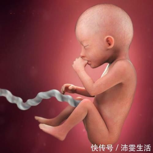 孕妇|怀孕后,孕妇别吃皮蛋易影响胎儿健康,另外四种蛋多吃对胎儿好