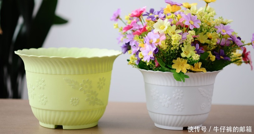 花肥|勿以恶小而为之！养花养成这7个坏习惯会出大问题