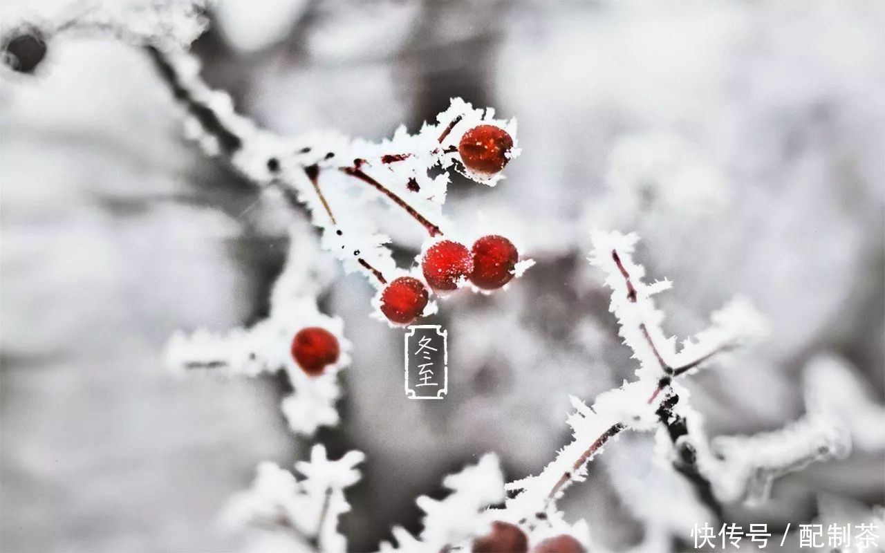 贵在|冬至,贵在养藏,寒湿入体需健脾