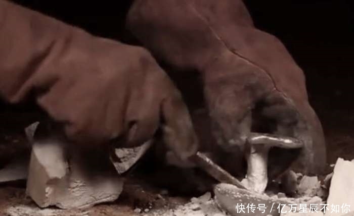 没想到|男子实验将1000度高温的铝液倒在蘑菇上, 没想到得到了一件艺术品