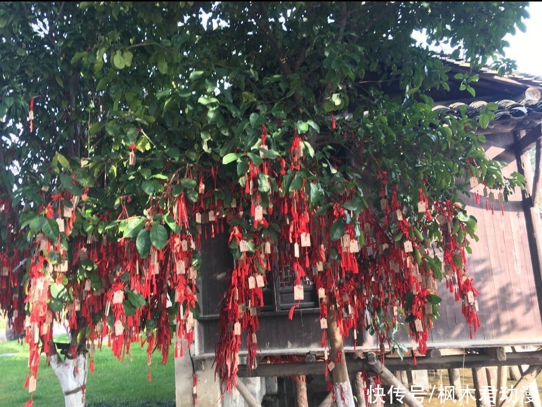 神明|浅析《元气少女缘结神》中神社、蝴蝶、天狗所蕴含的中日文化特色