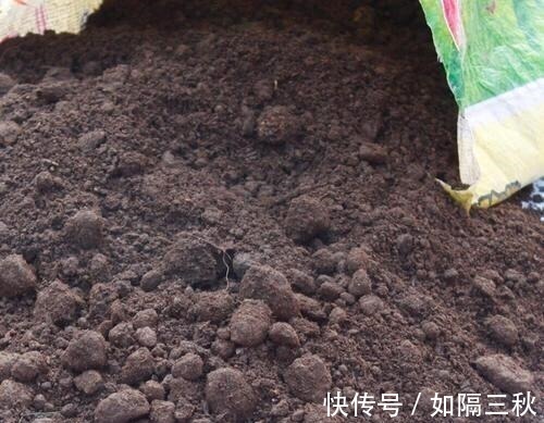 家庭养花,土从哪里来3个方法,不花一分钱,就能自制营养土了!