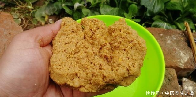 冬季饵料学会这样开,钓鱼一样不比蚯蚓红虫差,快来学学吧!