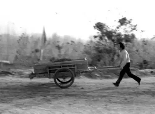 庄稼$当代散文｜|远去的地排车