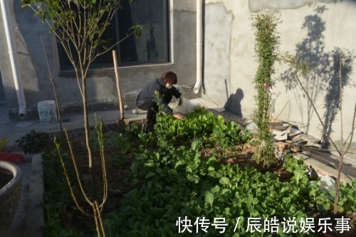 农民在自家院子里栽芍药,因为邻居的善意提醒,产生了心理障碍