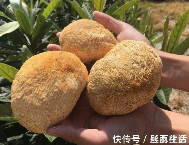 大夫|12岁男孩半年长16厘米,儿科大夫:1食物是“助长器”,可多吃