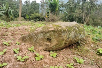 古蔺兴复村“罗状元”轶事