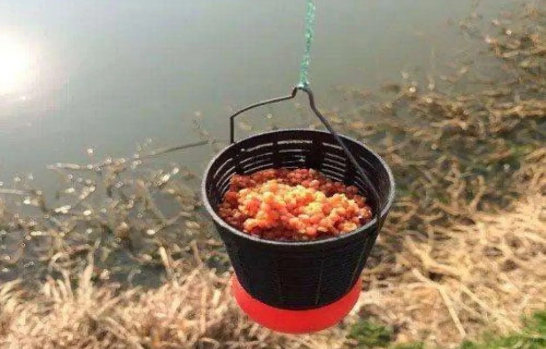 冬钓鲫鱼的“三大注意”，能做到就能保证基本的鱼获