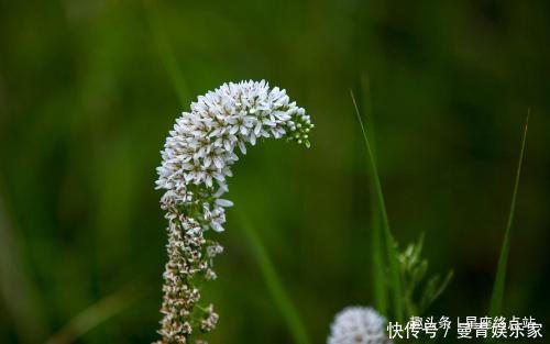 旺子|阴历哪个日子出生的女人，最有旺子女命，生的孩子有财又有福