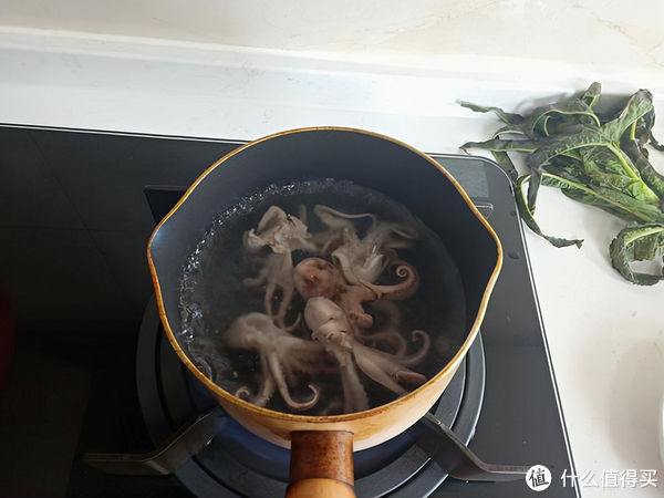 小鱿鱼|想贴秋膘,从这碗汤开始吧!随手一煮鲜掉眉毛,太简单