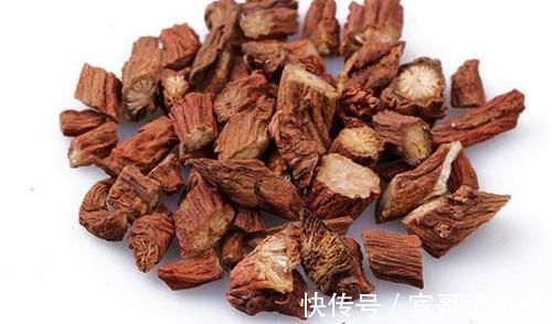 吃法|丹参药用价值高，掌握这6种吃法，让身体更补更健康！