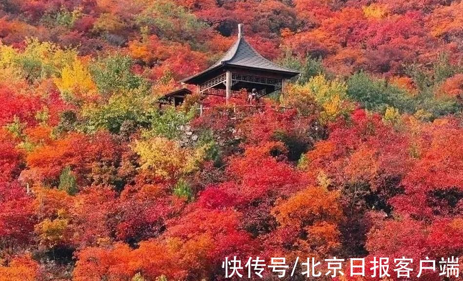 天地间|秋日静美，斑斓如斯，北京号带您“云”赏深秋