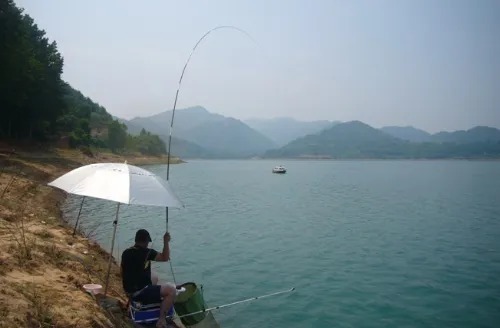 秋天户外钓鲫鱼,试试这些技巧,每次都是别人没口我连杆,莫不信