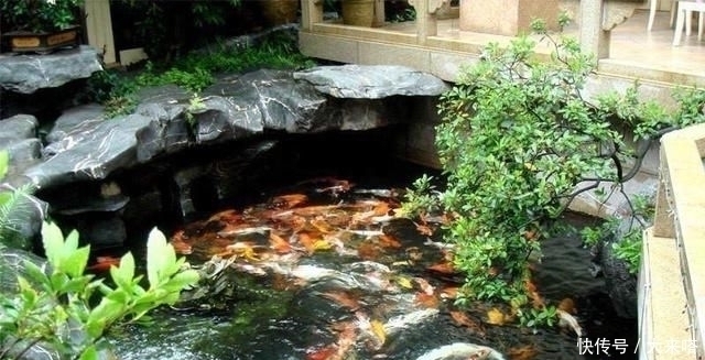 有庭院的人都开始造景观鱼池了美哭了,回家也要挖一个