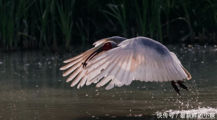 县城|这座小县城是上海人的“后花园”，是避暑的不二选择，杭州出发仅1小时