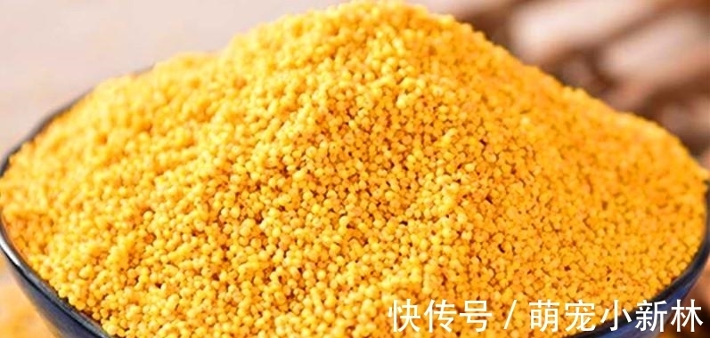 米油|熬小米粥时，直接用水煮是错的，大厨教你一招，米粥香浓油润好喝