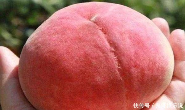 红色|桃子是甜还是不甜。能买的人一眼就能看出来,一定能学会卖