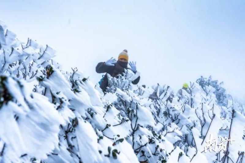 缓慢|广东下雪了？下周深圳缓慢升温+分散小雨