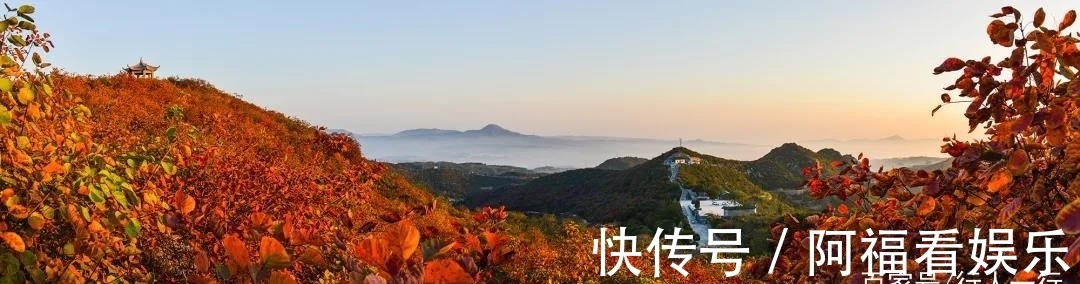 河南|全国人民免费，河南这10大景区将迎来最美红叶季，你准备好了吗？