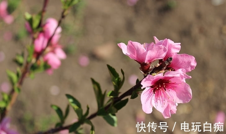 运势|1月运势大为好转，红火向吉，事业转折，年底存款翻倍的生肖