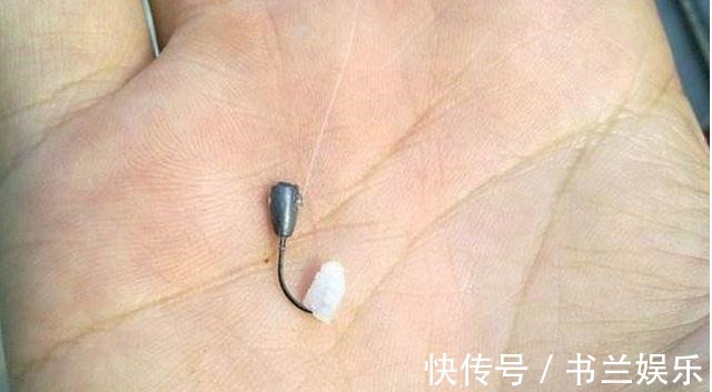 鱼饵|白米饭钓鲫鱼有奇效,尤其是在这个时间段,胜过商品饵!